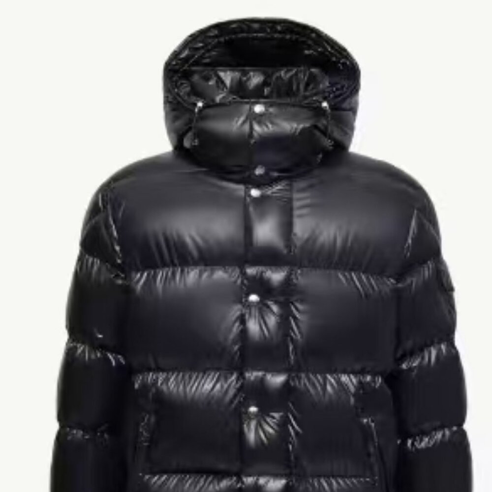 down jacket - image 1